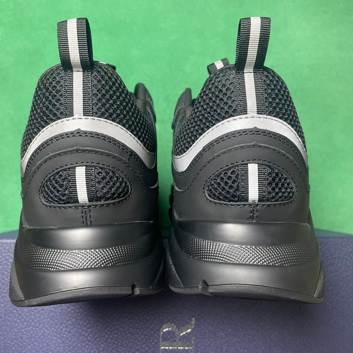 DIOR B22