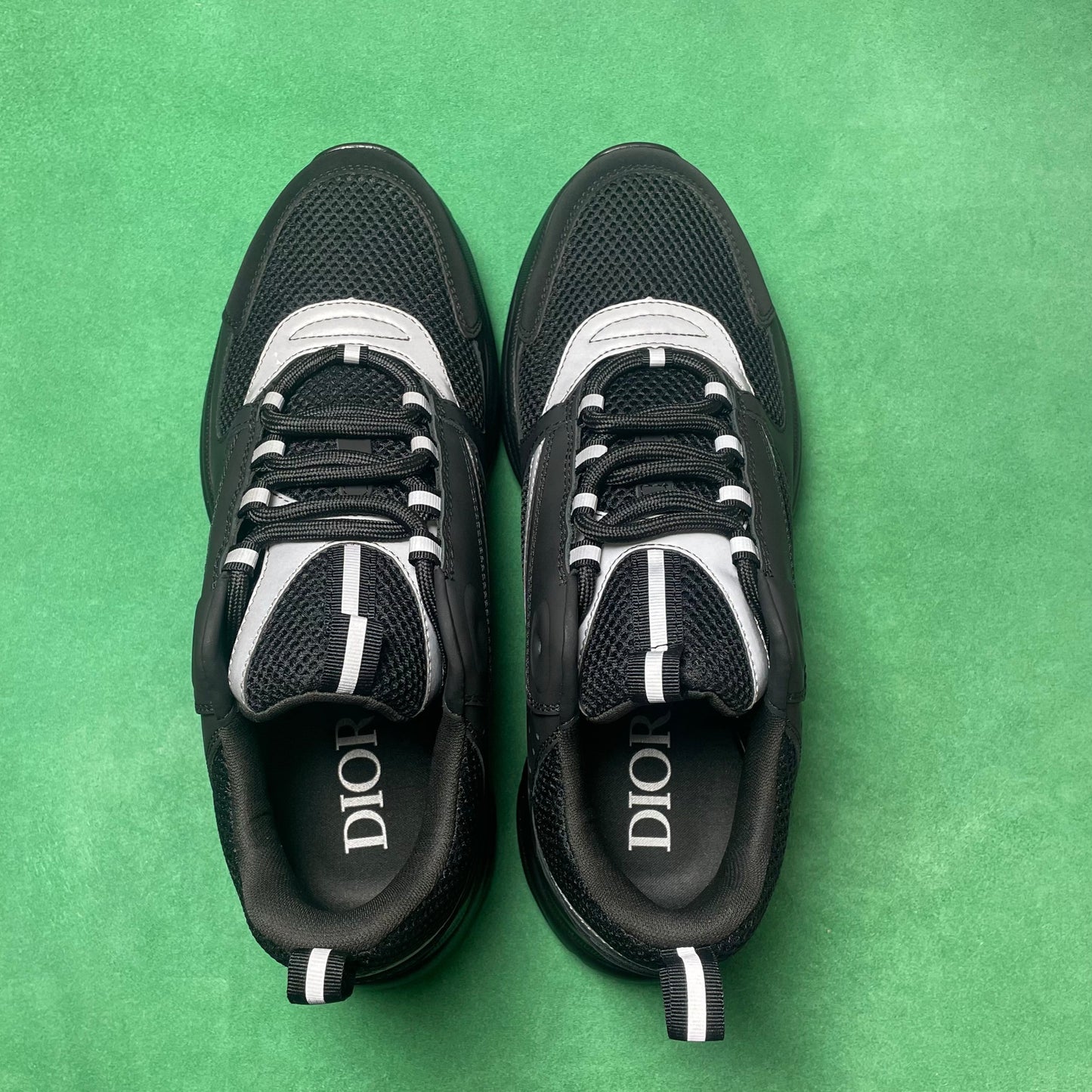 DIOR B22