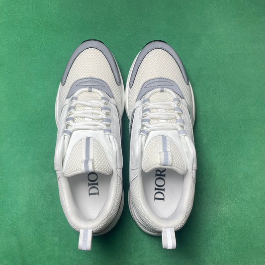 DIOR B22